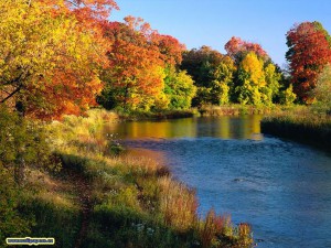 reka-a-stromy-na-podzim.jpg